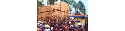 சபரி மலைக்குச் செல்லும் வழியில் உள்ள திருத்தலங்கள்